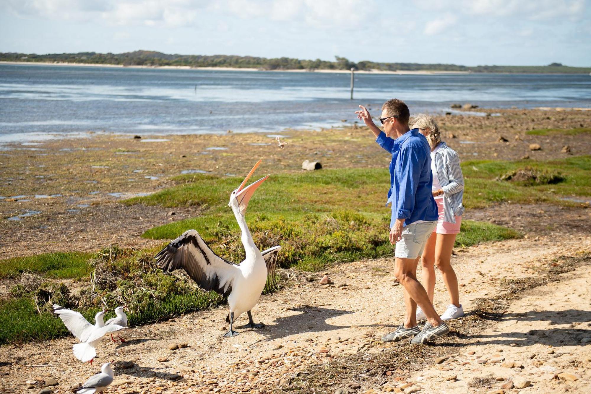 נהר אמריקן Mercure Kangaroo Island Lodge מראה חיצוני תמונה