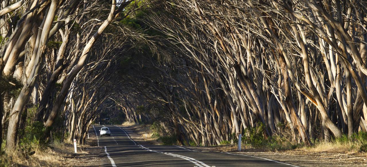 נהר אמריקן Mercure Kangaroo Island Lodge מראה חיצוני תמונה